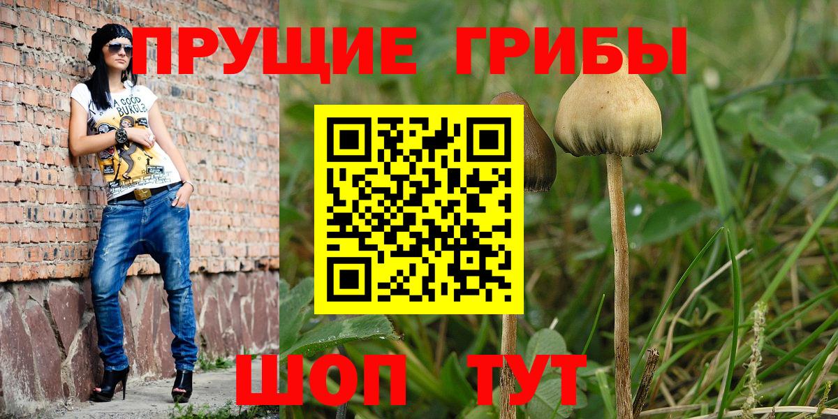 Псилоцибиновые грибы Magic Shrooms  Вход с VPN  Оренбург 
