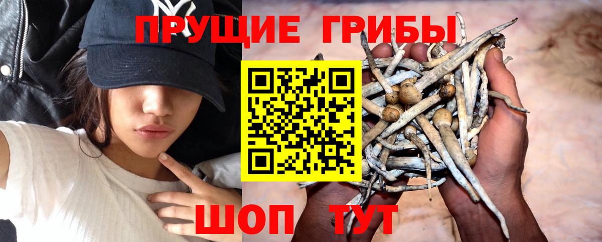 Псилоцибиновые грибы Magic Shrooms Оренбург